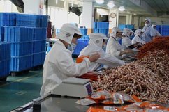 一年出口1.8亿，睿纳宠物哪来的自信“夸下海口”三年内要卖向100个国家？！